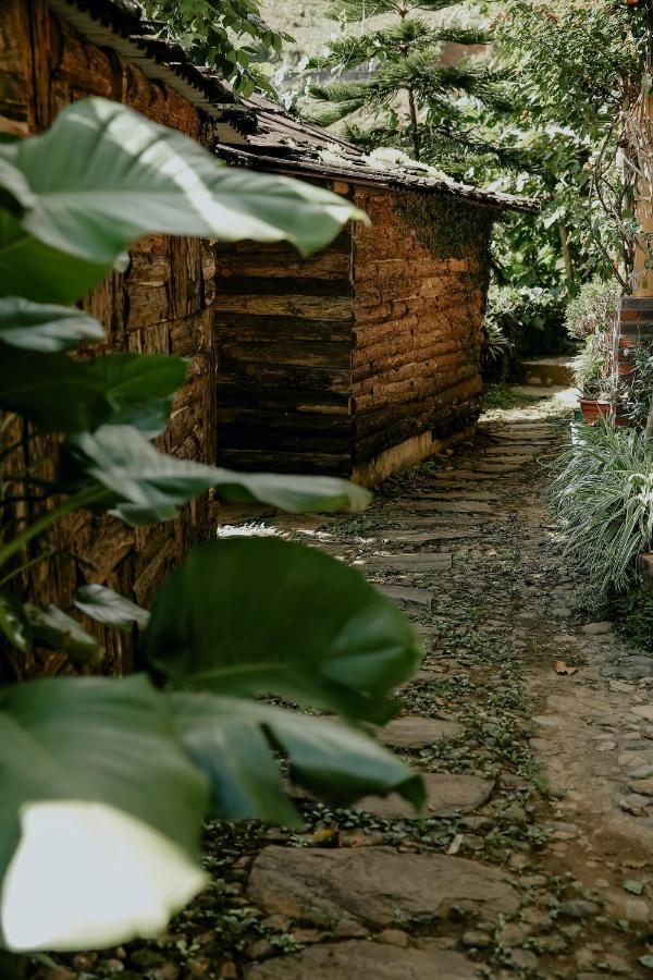 Homestay Muong Hoa River View Sa Pa